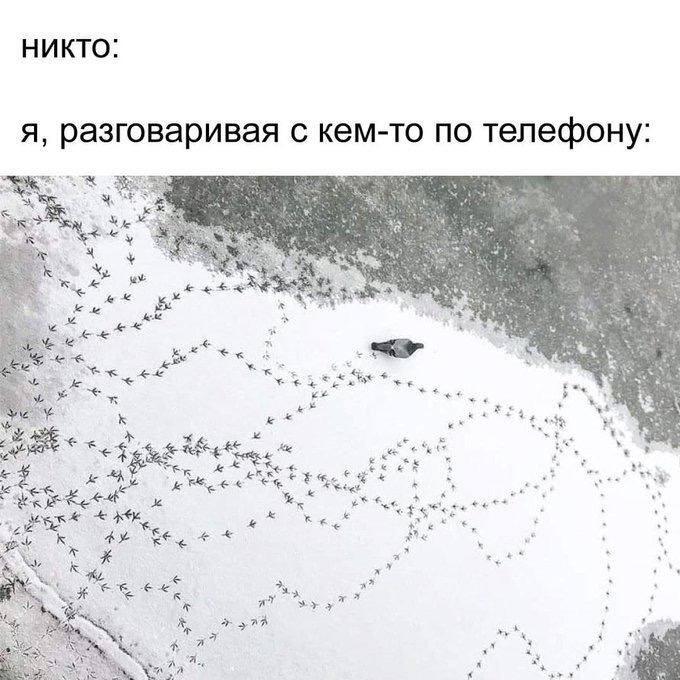 Мем без подписи