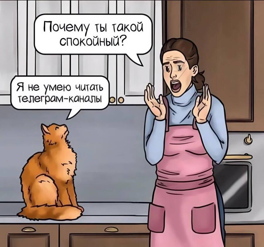 Мем без подписи