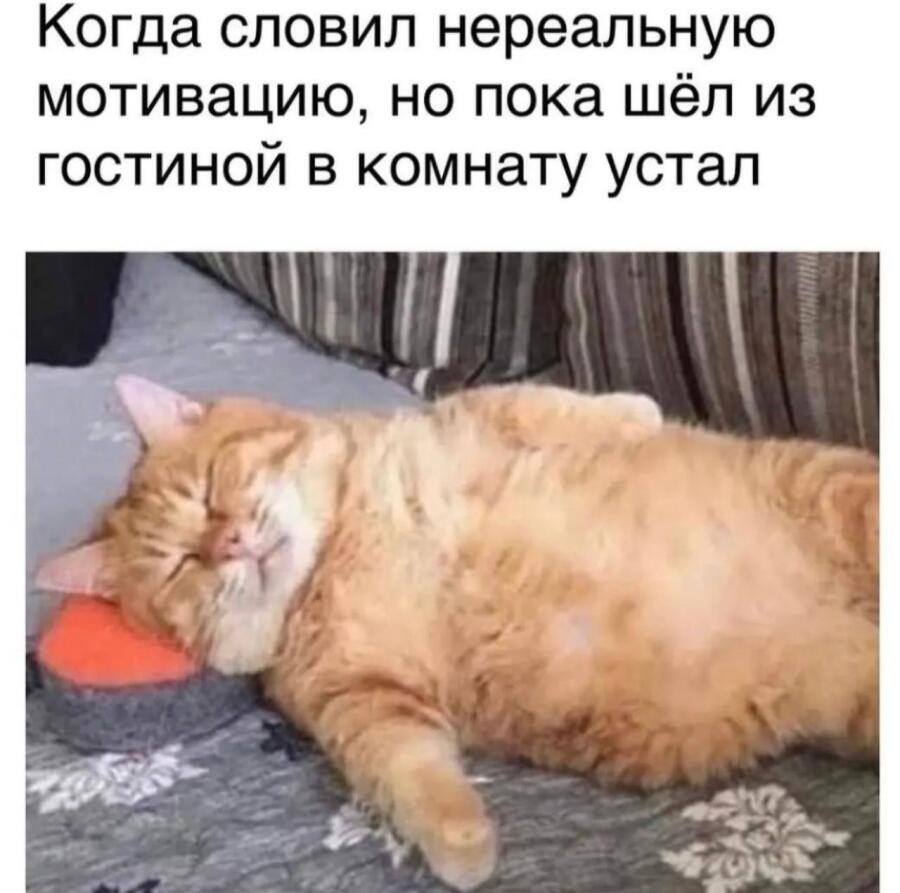 Мем без подписи