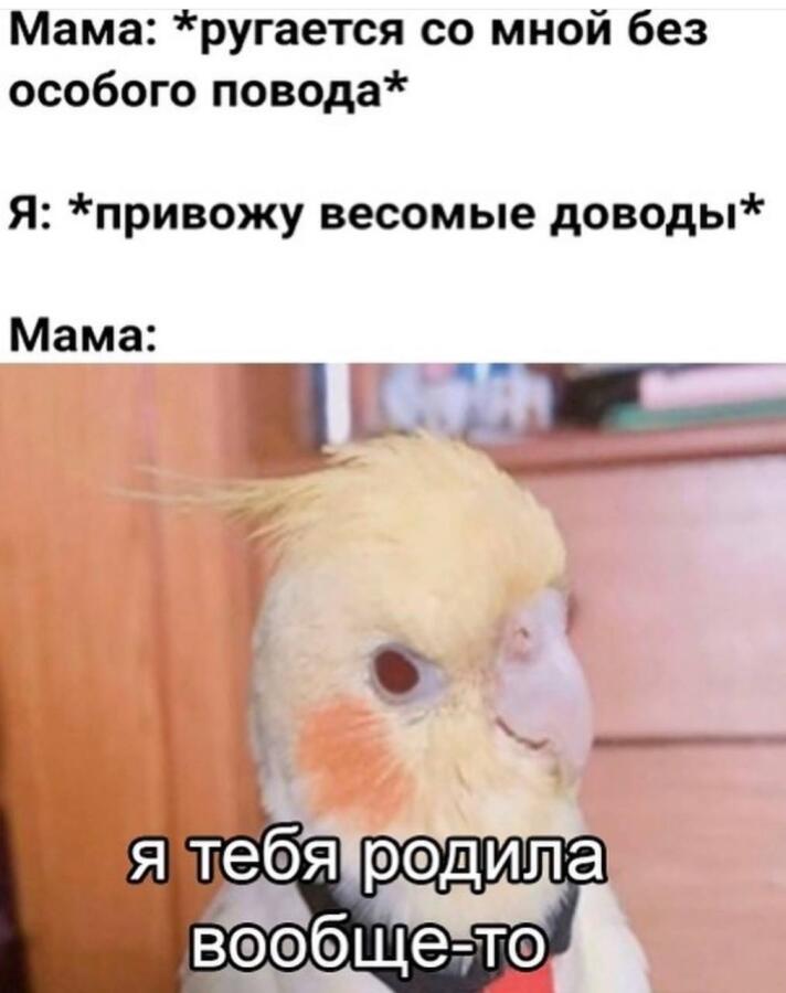 весомый аргумент