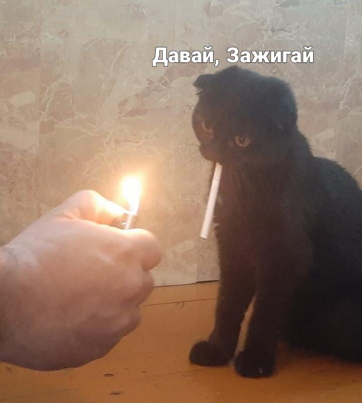 Когда Сказал друзьям, что тебе пора и надо идти купаться, но ты:  (Вн...