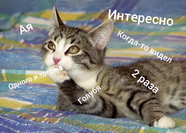 Мем от Zahar_12345