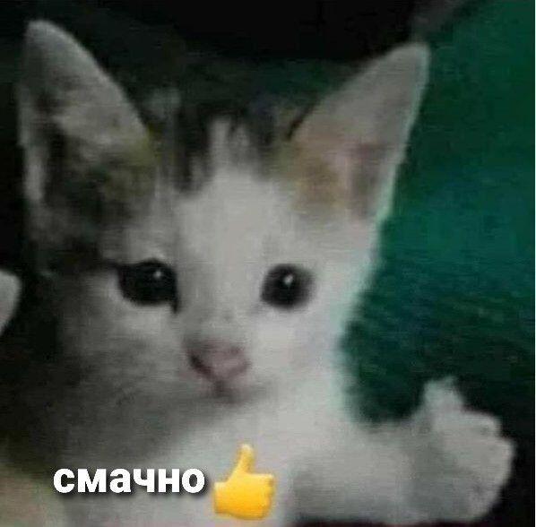 Это я смотрю на друга который делает какую-то глупость и понимаю что добром это не кончится