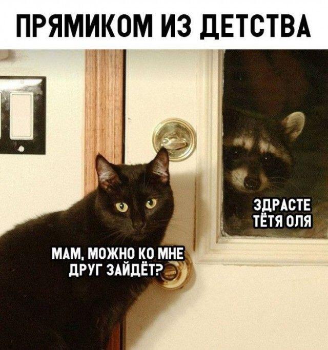 Мем от Karas10exe