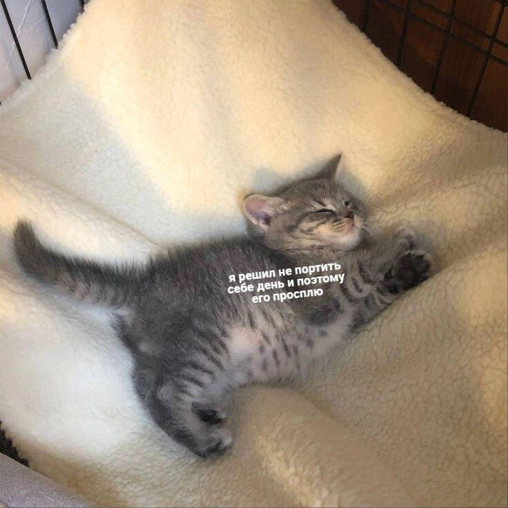 Мем без подписи
