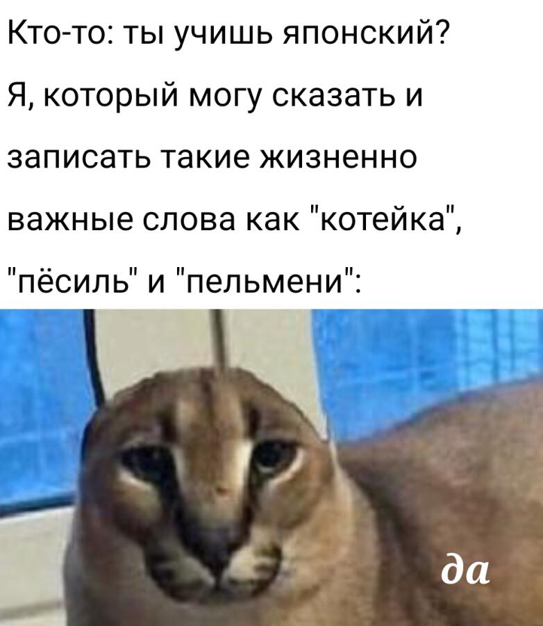 このロシアの猫は餃子が好きです   (Этот русский кот любит пельмени)...