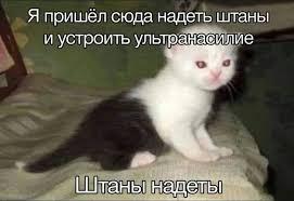 Бегите глупцы!