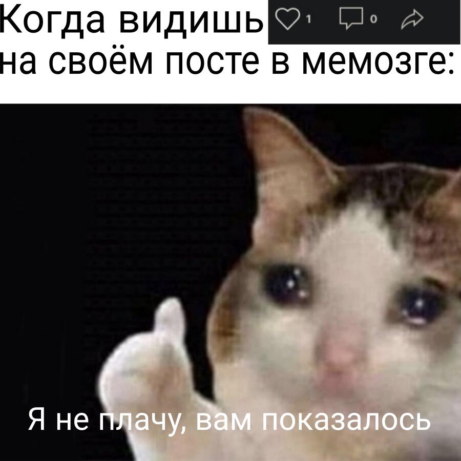 😿👍