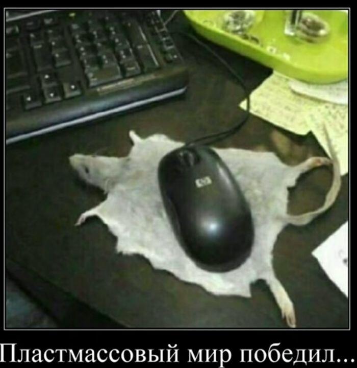 Мем без подписи