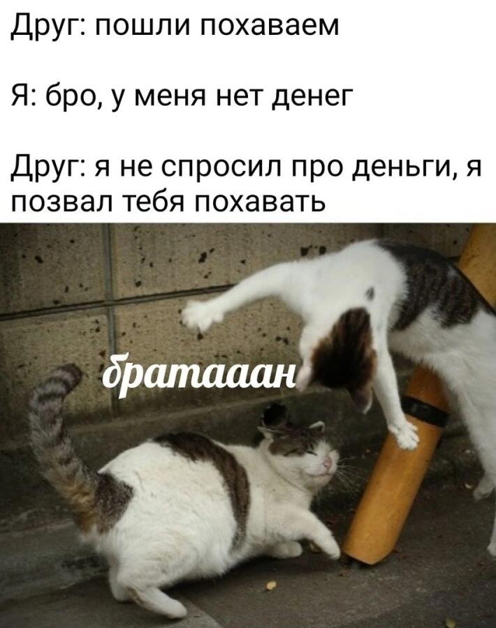 Мем от Rewi
