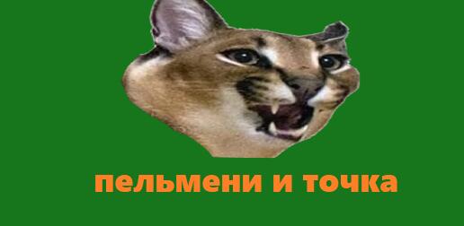 пельмени и шлёпа