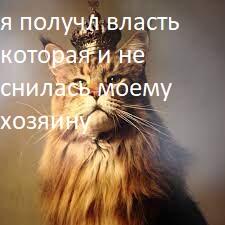 когда создал клуб Brawl stars