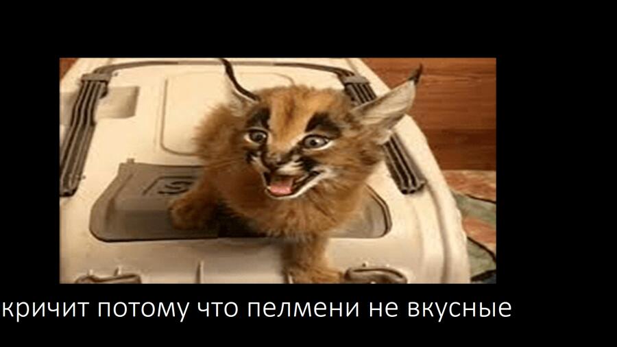 Мем от Headpelmen
