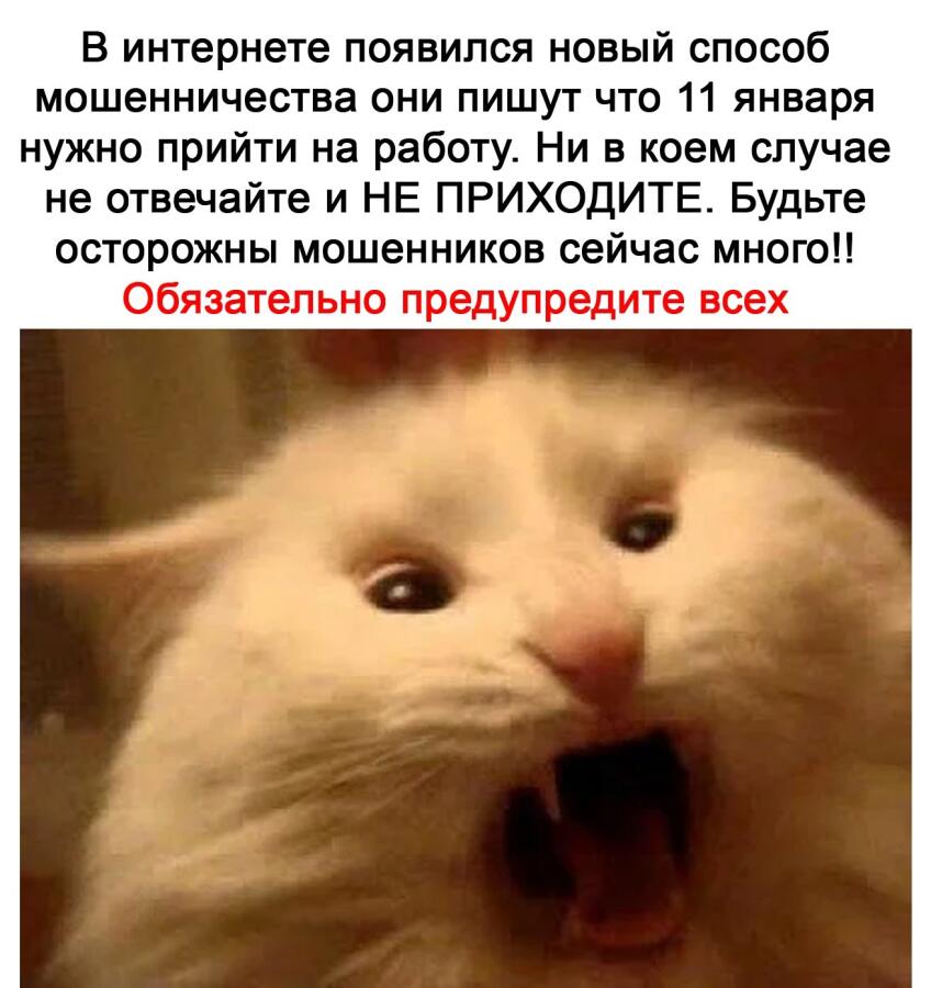 Привет всем!