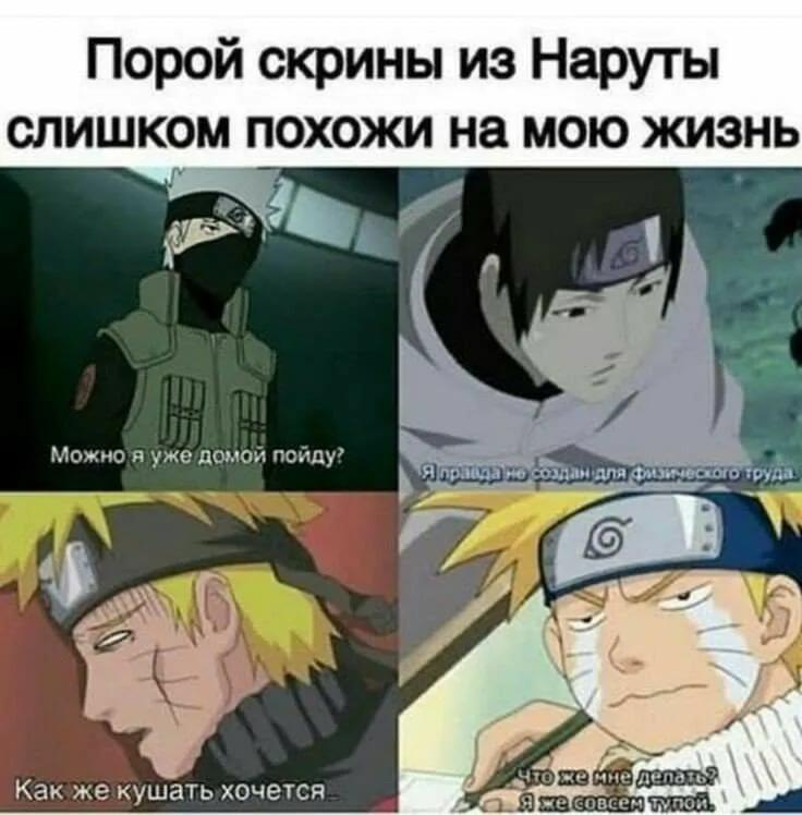 Жиза и всё тут