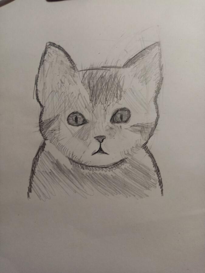 Нарисовал кота. Знаю сайт создан не для этого, но я хочу поделиться своим творчеством( хз кому это интересно). Сайт я вы