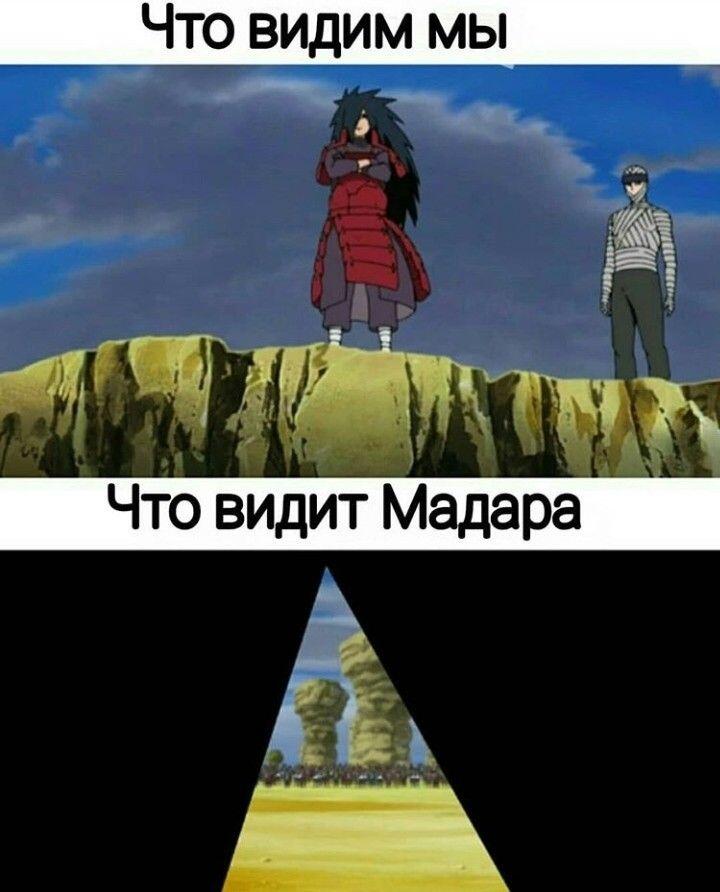 Налысо побрить!