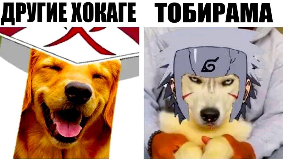 Злюкен-собакен! 😂