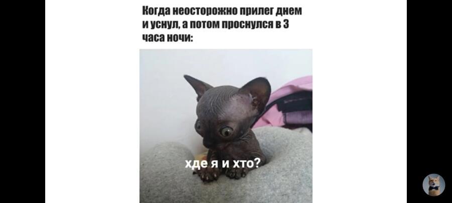 Мем без подписи