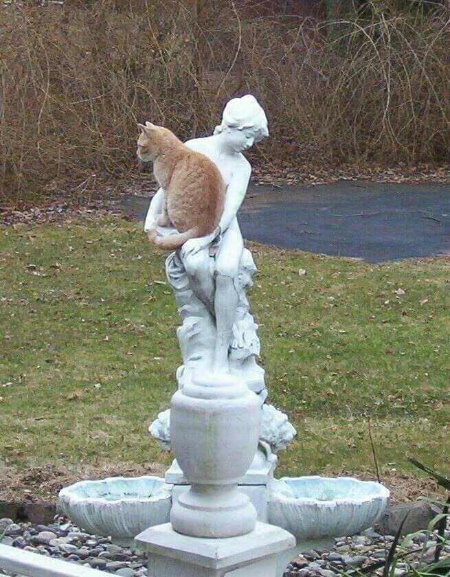 Статуя: - Кот, ты уже насиделся? Я устала держать. 
Кот: Нет