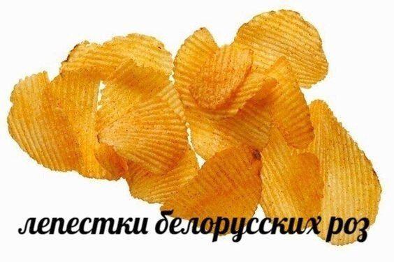 Никто :
Абсолютно никто:
Мои сны при температуре 38.9: