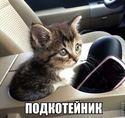 Мама: Кот какой-то бесполезный, надо сдать его в приют.
Так же кот:
