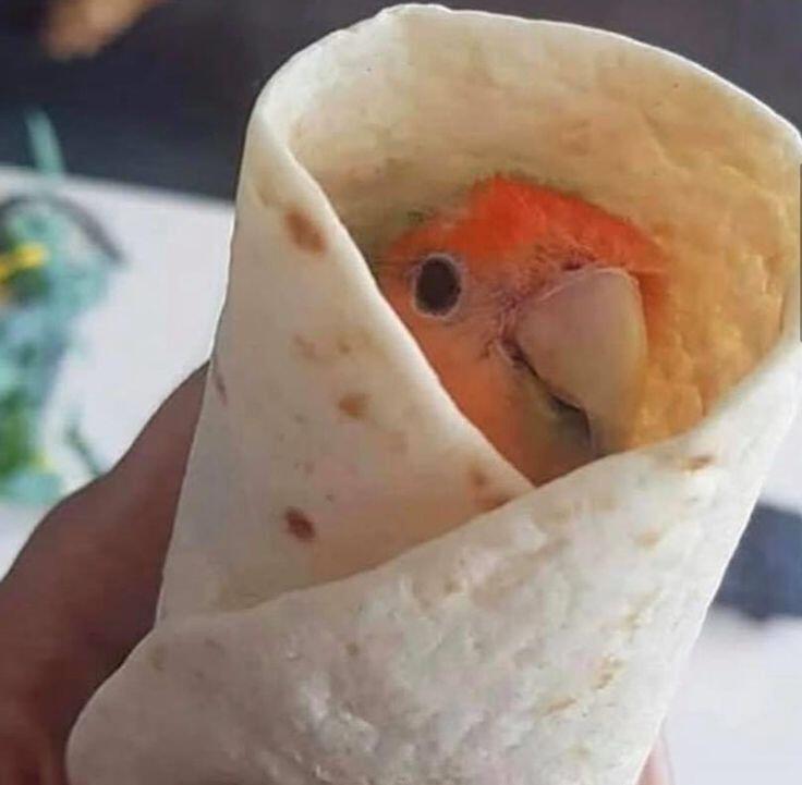 Я когда отключили отопление: