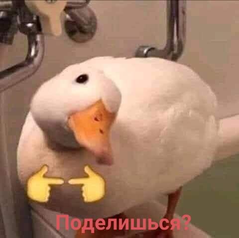 Одноклассники когда я принесла какую-то вкусняшку в школу: