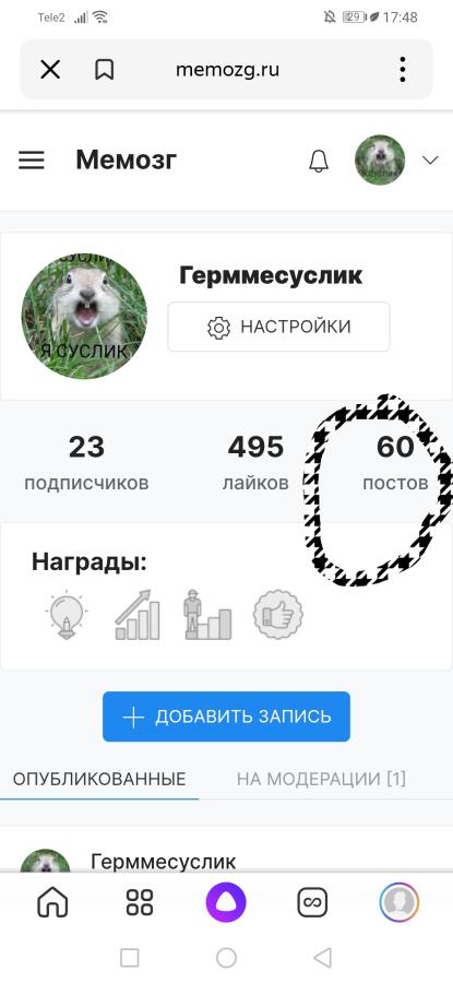 Вот он рай перфекционистов