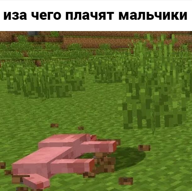 Мем без подписи