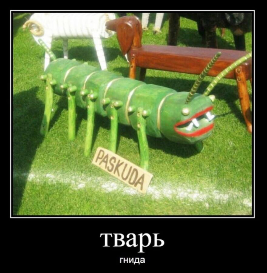 Настоящая гнида