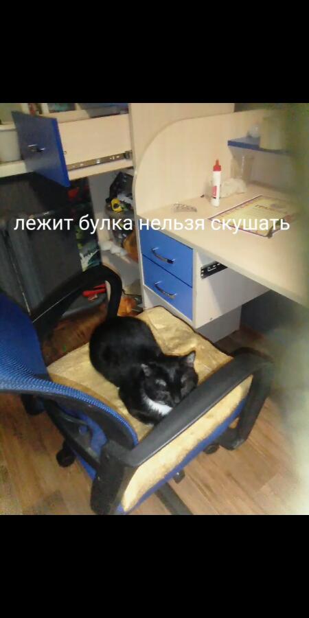 Сорри за качество у меня BQ а не фотоаппарат