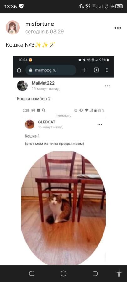 Кошка номер 4