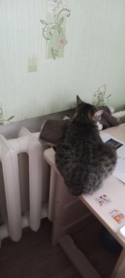 Когда уже весна?