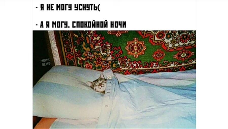 Мем от Спьащый жЫтъЭл