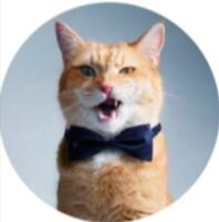 Кто-то :идеального блогера не существует. 
 
 
Я:поговорите мне тут!!! 😼