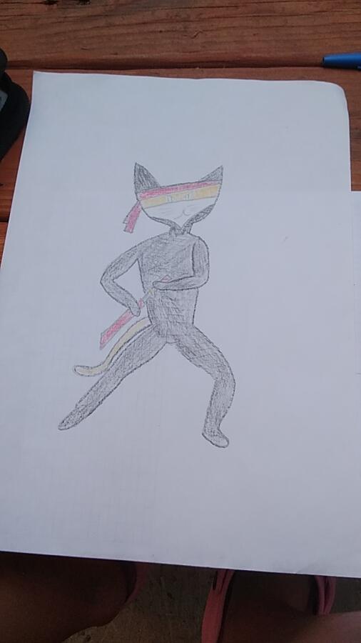 Я нарисовала кота ниндзя