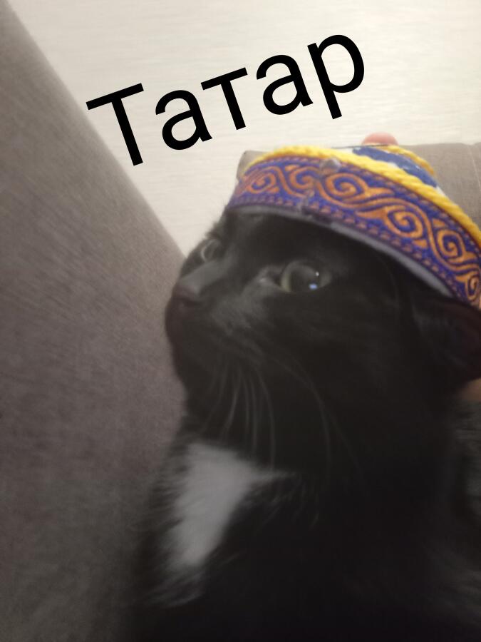 Я татар и он татар