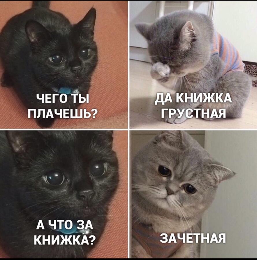 Мем от Косточка