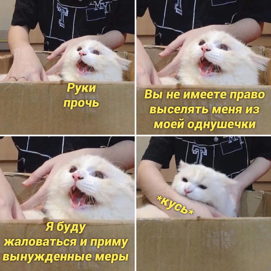 Мем от Косточка