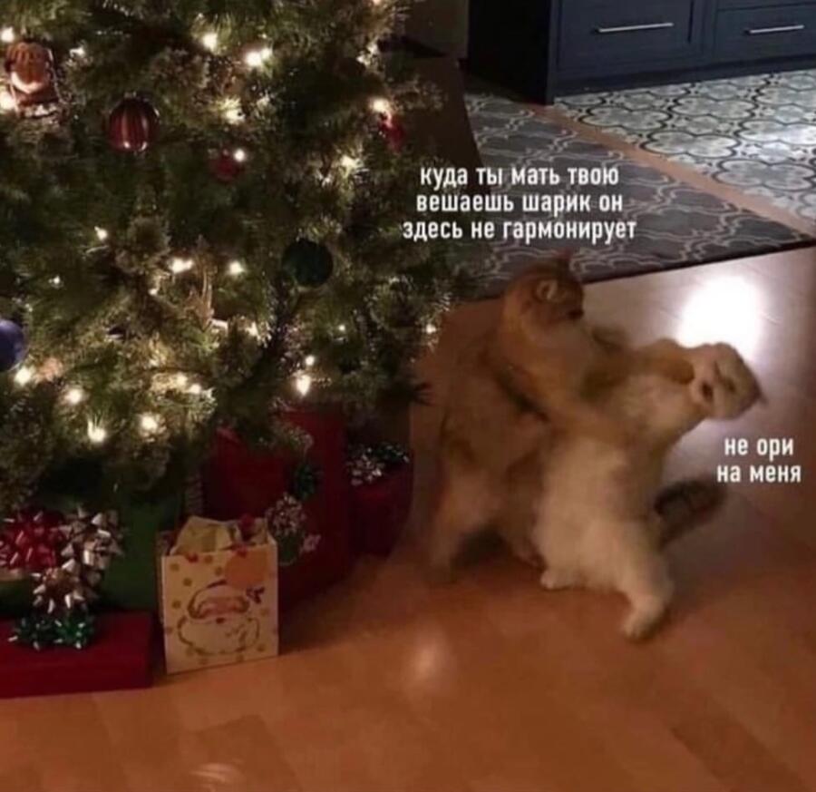 Мем от Косточка