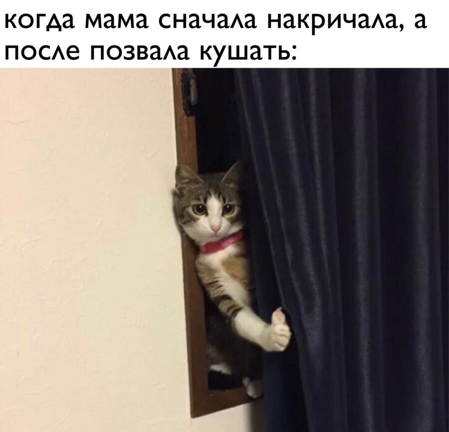 Мем от Косточка