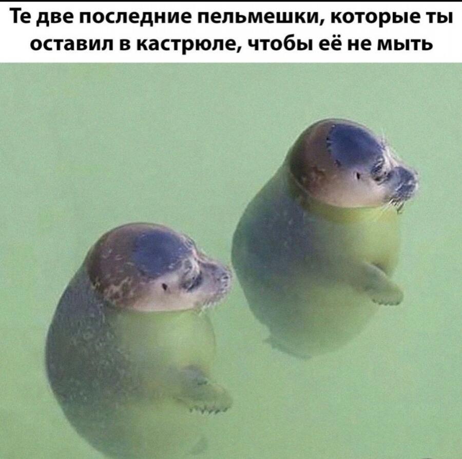 Мем от Косточка