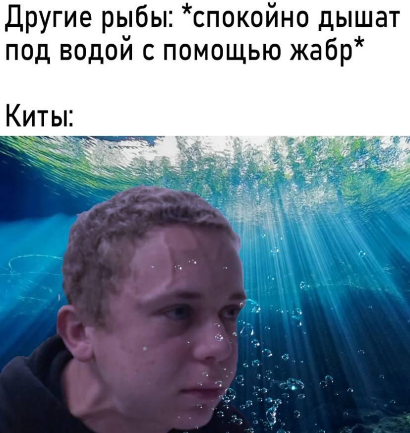 Ураа! Спасибо за 1 подписчика