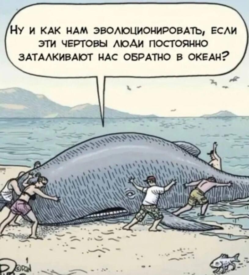 (спасибо за 3 подписчика)
Даже карась эволюционировал