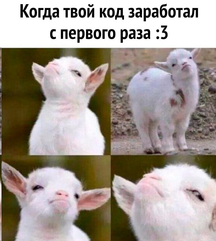 А потом ты написал 1 строчку кода и вылезло сразу 200 ошибок 🌚