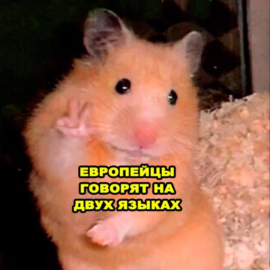 Мем от donnie