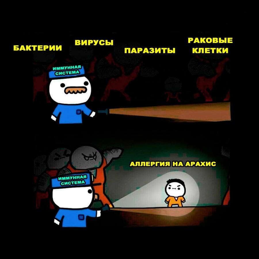 Мем от donnie