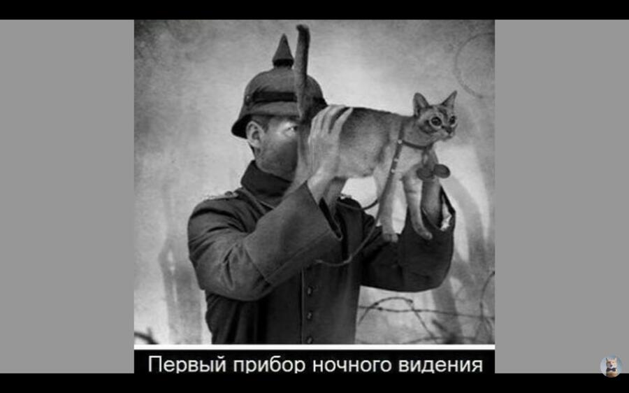 Мем без подписи