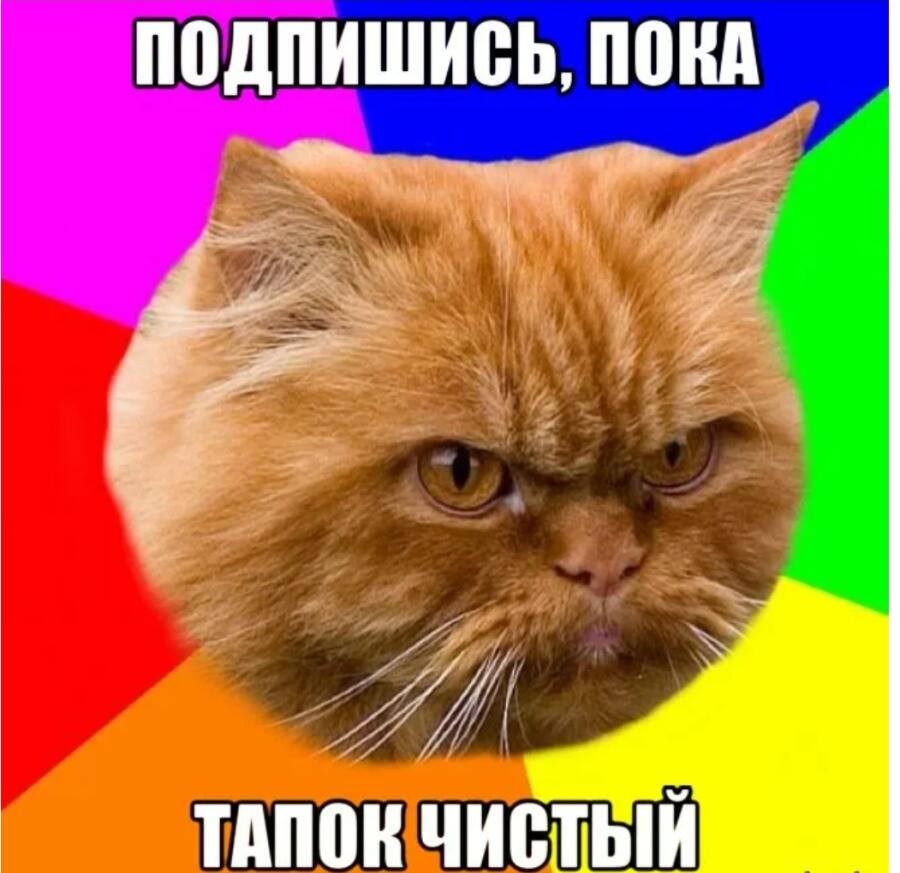 Подпишись.........пока тапок чистый и это не просьба